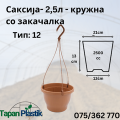 Collection image for: Саксии